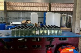 "Pod Tai Phuan"and the Art of Preserving the Harvest