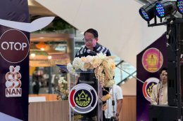 Nans Cultural Blooms on an International Runway in Phitsanulok