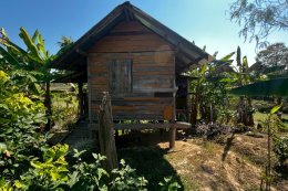 Slow Living & Organic Food At Bo Suak, Nan