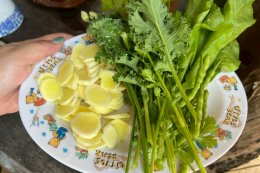 Slow Living & Organic Food At Bo Suak, Nan