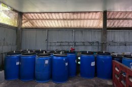 "Pod Tai Phuan"and the Art of Preserving the Harvest