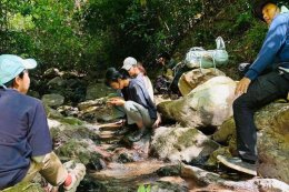 "Huai Phan"Where Nature and Life Walk the Same Path 