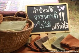 Nan Fest 2026 What Nong Nam Krok Left Behind After the Festival Ended