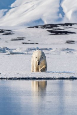 Svalbard