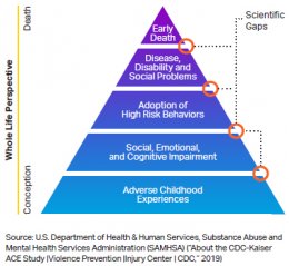 Brain Fitness and Executive Function : Written by BrainWare Learning