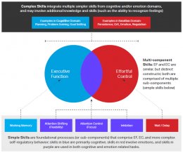 Brain Fitness and Executive Function : Written by BrainWare Learning