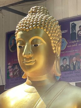 เรซิ่นคืออะไร