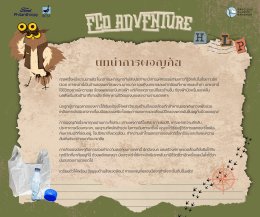 The Eco Bird watch Adventure Activity