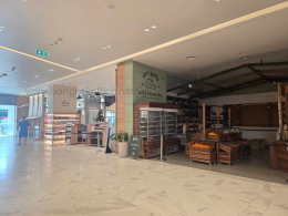 THE UNICORN | เดอะ ยูนิคอร์น