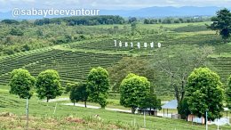 ทริปครอบครัว