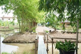 บรรยากาศสวนพอสุข