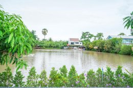 บรรยากาศสวนพอสุข