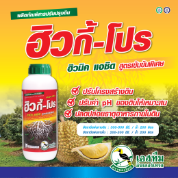 ลดสภาวะเครียด หลังน้ำท่วม ในทุเรียน