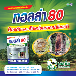 ลดสภาวะเครียด หลังน้ำท่วม ในทุเรียน