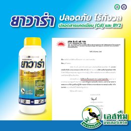 มั่นใจ ปลอดภัย ไร้กังวลจากสารแคดเมียม (Cd) และ Basic Yellow 2 (Auramine O)