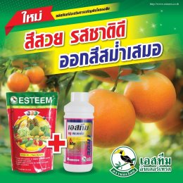 ชุดเร่งสีของเนื้อทุเรียน ปุ๋ยเอสทีม (แดง) + เอสทีม ทรู แมงกานีส