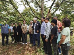 หอการค้าจังหวัดฉะเชิงเทรา จัดกิจกรรมทำ Content" (คอนเทนต์)   เพื่อเป็นการประชาสัมพันธ์ และส่งเสริมการขายให้กับทุเรียน อำเภอท่าตะเกียบจังหวัดฉะเชิงเทรา เที่ยวชมสวนทุเรียนหมอนทองลุงชง  ทุเรียนหมอนทอง รับประกันความอร่อย หวานมัน  เนื้อครีมมี่ ในวันอังคาร