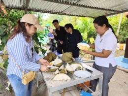 หอการค้าจังหวัดฉะเชิงเทรา จัดกิจกรรมทำ Content" (คอนเทนต์)   เพื่อเป็นการประชาสัมพันธ์ และส่งเสริมการขายให้กับทุเรียน อำเภอท่าตะเกียบจังหวัดฉะเชิงเทรา เที่ยวชมสวนทุเรียนหมอนทองลุงชง  ทุเรียนหมอนทอง รับประกันความอร่อย หวานมัน  เนื้อครีมมี่ ในวันอังคาร
