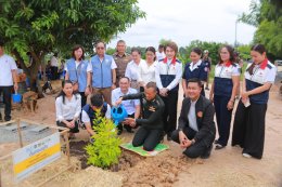 วันศุกร์ที่ 17 กรกฎาคม  2569  นายธนเดช จิตพิทยานุภาพ รองประธานหอการค้า ร่วมส่งมอบครัวเรือน จำนวน 2 หลัง โครงการบ้านห่วงใยจากใจ glo ประจำปี 2569   ประกอบด้วย  1) เวลา 9.00-10.00 น. ครัวเรือนนางเนียด จะช่วยรัมย์ บ้านเลขที่ 408 หมู่ที่ 18 ตำบลท่ากระดาน อำเภอ