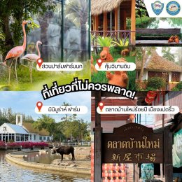   "กิน เที่ยว บ้านฉัน" สัปดาห์นี้ไปกันที่ จังหวัดฉะเชิงเทรา  ‍ ประธานหอการค้าจังหวัดและประธาน YEC จังหวัดฉะเชิงเทรา  ชวนตะลุยร้านเด็ด ร้านดัง และสถานที่ท่องเที่ยว   สถานที่มูสุดปัง! ประจำจังหวัด  เชิญชวนเที่ยวงานประจำจังหวัด  ️‍ พร้อมสิทธิพิเศษจ