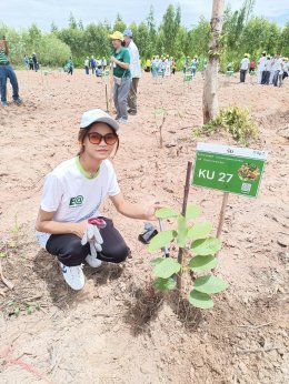 หอการค้าจังหวัดฉะเชิงเทรา โดยโครงการ “อนุรักษ์สิ่งแวดล้อม Zero Co2 จังหวัดฉะเชิงเทรา” ร่วมกิจกรรมปลูกป่าเพื่ออนุรักษ์สิ่งแวดล้อม ในวันพุธที่ 26 กรกฎาคม 2566 เวลา 10.00 น. ณ สถานีวิจัยและฝึกนิสิตวนศาสตร์สนามชัยเขต ต.ทุ่งพระยา อ.สนามชัยเขต จ.ฉะเชิงเทรา     