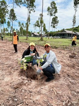 หอการค้าจังหวัดฉะเชิงเทรา โดยโครงการ “อนุรักษ์สิ่งแวดล้อม Zero Co2 จังหวัดฉะเชิงเทรา” ร่วมกิจกรรมปลูกป่าเพื่ออนุรักษ์สิ่งแวดล้อม ในวันพุธที่ 26 กรกฎาคม 2566 เวลา 10.00 น. ณ สถานีวิจัยและฝึกนิสิตวนศาสตร์สนามชัยเขต ต.ทุ่งพระยา อ.สนามชัยเขต จ.ฉะเชิงเทรา     
