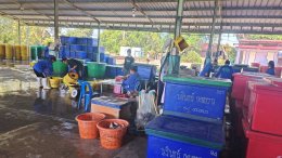 หอการค้าไทยและสภาหอการค้าแห่งประเทศไทย ร่วมกับ หอการค้าจังหวัดฉะเชิงเทรา และสมาคมผู้เพาะเลี้ยงปลาทะเลไทย ร่วมหารือแนวทางขับเคลื่อนและส่งเสริมการเลี้ยงปลากะพงขาวและกุ้งก้ามกามให้เป็นสัตว์น้ำเศรษฐกิจในจังหวัดฉะเชิงเทรา วันพุธที่ 1 พฤศจิกายน 2566 เวลา 10.00-