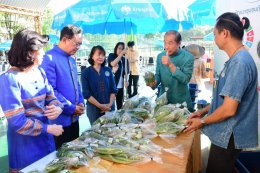 หอการค้าจังหวัดฉะเชิงเทรา ร่วมกับ มหาวิทยาลัยราชภัฏราชนครินทร์ และองค์กรภาคเอกชน ร่วมเป็นเจ้าภาพจัดประชุมสภากาแฟ ประจำปีงบประมาณ 2567 ครั้งที่ 2 ประจำเดือนธันวาคม 2566 ในวันพฤหัสบดีที่ 14 ธันวาคม 2566 เวลา 07.00-09.00 น. ณ โดม มหาวิทยาลัยราชภัฏราชนครินทร์