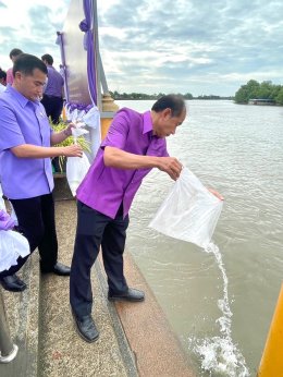 ดร.จิตรกร เผด็จศึก ประธานหอการค้าจังหวัดฉะเชิงเทรา พร้อมคณะ ร่วมกิจกรรมเฉลิมพระเกียรติสมเด็จพระนางเจ้าฯ พระบรมราชินี เนื่องในโอกาสวันเฉลิมพระชนมพรรษา 3 มิถุนายน 2567  เริ่มเวลา 7.30 น. พิธีทำบุญตักบาตร พิธีปล่อยพันธุ์สัตว์น้ำ และพิธีไถ่ชีวิตโคกระบือเพื่อถ