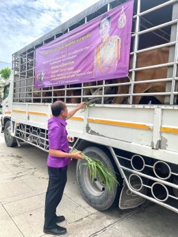 ดร.จิตรกร เผด็จศึก ประธานหอการค้าจังหวัดฉะเชิงเทรา พร้อมคณะ ร่วมกิจกรรมเฉลิมพระเกียรติสมเด็จพระนางเจ้าฯ พระบรมราชินี เนื่องในโอกาสวันเฉลิมพระชนมพรรษา 3 มิถุนายน 2567  เริ่มเวลา 7.30 น. พิธีทำบุญตักบาตร พิธีปล่อยพันธุ์สัตว์น้ำ และพิธีไถ่ชีวิตโคกระบือเพื่อถ