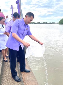 ดร.จิตรกร เผด็จศึก ประธานหอการค้าจังหวัดฉะเชิงเทรา พร้อมคณะ ร่วมกิจกรรมเฉลิมพระเกียรติสมเด็จพระนางเจ้าฯ พระบรมราชินี เนื่องในโอกาสวันเฉลิมพระชนมพรรษา 3 มิถุนายน 2567  เริ่มเวลา 7.30 น. พิธีทำบุญตักบาตร พิธีปล่อยพันธุ์สัตว์น้ำ และพิธีไถ่ชีวิตโคกระบือเพื่อถ