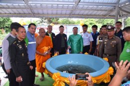 วันศุกร์ที่ 20 กันยายน 2567 เวลา 10.00 น. นายพงศ์ธร เผ่าบรรจง รองประธานหอการค้าฯ ร่วมกิจกรรมปล่อยพันธุ์สัตว์น้ำ เนื่องในวันประมงแห่งชาติ ประจำปี 2567 ณ ท่าน้ำวัดประเวศวัฒนาราม ต.คลองประเวศ อ.บ้านโพธิ์ จ.ฉะเชิงเทรา