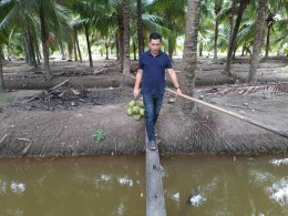 วันพุธที่ 4 - วันศุกร์ที่ 6 กันยายน 2567 นายจอมพงษ์ ชูทับทิม เลขาธิการหอการค้า ร่วมลงพื้นที่ตรวจประเมินตามระบบควบคุมคุณภาพสินค้าสิ่งบ่งชี้ทางภูมิศาสตร์ (IG) ไทย มะพร้าวน้ำมันมะพร้าวน้ำหอมบางคล้า ณ สวนมะพร้าวน้ำหอมของผู้ผลิตและผู้ประกอบการค้า อำเภอเมืองฉะเ