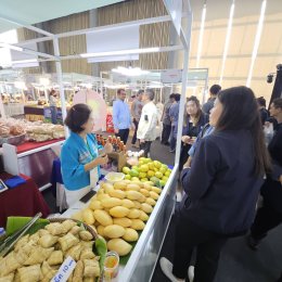 วันพฤหัสบดีที่ 20 กุมภาพันธ์ 2568 เวลา 15:00 น. นายจอมพงษ์ ชูทับทิม เลขาธิการหอการค้า ร่วมพิธีเปิดงาน "Thailand Local SDGs Expo @ Phatunthani"  ณ ศูนย์การค้าฟิวเจอร์พาร์ รังสิต Alive Park Hall ชั้น G ต.ประชาธิปัตย์ อ.ธัญบุรี จ.ปทุมธานี