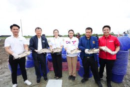 วันพฤหัสบดีที่ 29 พฤษภาคม 2568 เวลา 10.00 - 11.00 น. นายวนิชย์  โสวะนะปรีชา กรรมการหอการค้าฯ ร่วมกิจกรรมปล่อยคาราวานรับซื้อปลากะพงจากเกษตรกร ภายใต้โครงการ "แม็คโคร-โลตัส เคียงข้างเกษตรกรไทย" ณ บ่อเกษตรกร (คุณสุดารัตน์ พ่วงมณี) อ.บางปะกง จ.ฉะเชิง