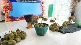หอการค้าจังหวัดฉะเชิงเทรา ทำโครงการยกระดับสินค้า เพื่อการเกษตรจังหวัดฉะเชิงเทรา เอาใจ️คนรักทุเรียน  โดยการส่งเสริมการจำหน่ายทุเรียน (หมอนทอง)ในพื้นที่ อำเภอท่าตะเกียบ จังหวัดฉะเชิงเทรา เพื่อช่วยเหลือเกษตรกรผู้ปลูกทุเรียน จากสวนเกษตรกรโดยตรงกรรมการท่านใด