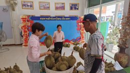 หอการค้าจังหวัดฉะเชิงเทรา ทำโครงการยกระดับสินค้า เพื่อการเกษตรจังหวัดฉะเชิงเทรา เอาใจ️คนรักทุเรียน  โดยการส่งเสริมการจำหน่ายทุเรียน (หมอนทอง)ในพื้นที่ อำเภอท่าตะเกียบ จังหวัดฉะเชิงเทรา เพื่อช่วยเหลือเกษตรกรผู้ปลูกทุเรียน จากสวนเกษตรกรโดยตรงกรรมการท่านใด
