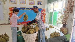 หอการค้าจังหวัดฉะเชิงเทรา ทำโครงการยกระดับสินค้า เพื่อการเกษตรจังหวัดฉะเชิงเทรา เอาใจ️คนรักทุเรียน  โดยการส่งเสริมการจำหน่ายทุเรียน (หมอนทอง)ในพื้นที่ อำเภอท่าตะเกียบ จังหวัดฉะเชิงเทรา เพื่อช่วยเหลือเกษตรกรผู้ปลูกทุเรียน จากสวนเกษตรกรโดยตรงกรรมการท่านใด
