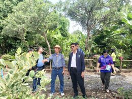 นายยุทธนา มาตเจือประธานหอการค้าและคณะกรรมการ ร่วมกิจกรรม"ชมผักในสวน ชวนทำขนม อบรมพืชกลับหัว"ในวันอาทิตย์ที่ 6 กรกฎาคม 68 เวลา 09.00 น. ผู้เข้าร่วมกิจกรรมพร้อมกัน ณ ศูนย์เรียนรู้เกษตรผสมผสาน smile lemon 09.05 น.มารู้จักศูนย์เรียนรู้ฯร่วมกัน..ผ่าน