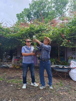 นายยุทธนา มาตเจือประธานหอการค้าและคณะกรรมการ ร่วมกิจกรรม"ชมผักในสวน ชวนทำขนม อบรมพืชกลับหัว"ในวันอาทิตย์ที่ 6 กรกฎาคม 68 เวลา 09.00 น. ผู้เข้าร่วมกิจกรรมพร้อมกัน ณ ศูนย์เรียนรู้เกษตรผสมผสาน smile lemon 09.05 น.มารู้จักศูนย์เรียนรู้ฯร่วมกัน..ผ่าน