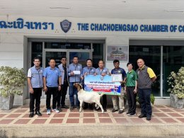 วันพฤหัสบดีที่ 6 กุมภาพันธ์ 2568 เวลา 10.00 น. พิธีมอบพ่อพันธ์ุแพะ พันธุ์บอร์ สายเลือด 100 % ให้แก่ตัวแทนเกษตรกร (ผู้ใหญ่ถวัล บัวตัน)  ณ สำนักงานหอการค้าจังหวัดฉะเชิงเทรา  สนับสนุนโดย ดร.จิตรกร เผด็จศึก และ คุณมงคล ดำรงค์สุทธิพงศ์