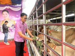 วันอังคารที่ 3 มิถุนายน 2568 เวลา 09.00 น. นายยุทธนา มาตเจือ ประธานหอการค้าจังหวัดฉะเชิงเทรา พร้อมด้วยคณะกรรมการฯ เข้าร่วมพิธีไถ่ชีวิตโค - กระบือ และปล่อยพันธุ์สัตว์น้ำ เพื่อถวายเป็นพระราชกุศลเฉลิมพระเกียรติสมเด็จพระนางเจ้าฯ พระบรมราชินี เนื่องในโอกาสวันเ