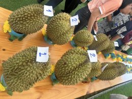 หอการค้าจังหวัดฉะเชิงเทรา ร่วม เปิดงานเทศกาลทุเรียน ท่าตะเกียบ จังหวัดฉะเชิงเทรา ในโครงการจัดงานวันเกษตรและประกวดพืชผลทางการเกษตรของดีอำเภอตะเกียบ ประจำปี 2568 วันที่ 7 มิถุนายน 2568 เวลา 9.30 น.ณ ลานเอนกประสงค์บ้านดากาาะกระทิงต.คลองตะเกรา อ. ท่าตะเกียบ จ