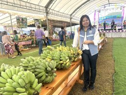 หอการค้าจังหวัดฉะเชิงเทรา ร่วม เปิดงานเทศกาลทุเรียน ท่าตะเกียบ จังหวัดฉะเชิงเทรา ในโครงการจัดงานวันเกษตรและประกวดพืชผลทางการเกษตรของดีอำเภอตะเกียบ ประจำปี 2568 วันที่ 7 มิถุนายน 2568 เวลา 9.30 น.ณ ลานเอนกประสงค์บ้านดากาาะกระทิงต.คลองตะเกรา อ. ท่าตะเกียบ จ