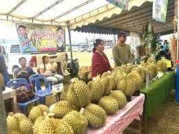 หอการค้าจังหวัดฉะเชิงเทรา ร่วม เปิดงานเทศกาลทุเรียน ท่าตะเกียบ จังหวัดฉะเชิงเทรา ในโครงการจัดงานวันเกษตรและประกวดพืชผลทางการเกษตรของดีอำเภอตะเกียบ ประจำปี 2568 วันที่ 7 มิถุนายน 2568 เวลา 9.30 น.ณ ลานเอนกประสงค์บ้านดากาาะกระทิงต.คลองตะเกรา อ. ท่าตะเกียบ จ