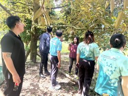 หอการค้าจังหวัดฉะเชิงเทราลงพื้นที่เยี่ยมชมสวนทุเรียน ของเกษตรกรอำเภอท่าตะเกียบ เพื่อส่งเสริมด้านคุณภาพการผลิตและด้านการตลาดแหล่งกระจายผลผลิตสู่ผู้บริโภคอย่างยั่งยืน  เมื่อวันอาทิตย์ที่ 7 มิถุนายน 2568 ณ สวนเกษตรกรลุงชม