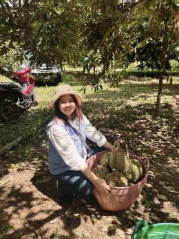 หอการค้าจังหวัดฉะเชิงเทราลงพื้นที่เยี่ยมชมสวนทุเรียน ของเกษตรกรอำเภอท่าตะเกียบ เพื่อส่งเสริมด้านคุณภาพการผลิตและด้านการตลาดแหล่งกระจายผลผลิตสู่ผู้บริโภคอย่างยั่งยืน  เมื่อวันอาทิตย์ที่ 7 มิถุนายน 2568 ณ สวนเกษตรกรลุงชม
