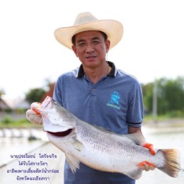 หอการค้าจังหวัดฉะเชิงเทรา ขอแสดงความยินดี  กับ นายประโยชน์ โสรัจจกิจ อาชีพเพาะเลี้ยงสัตว์น้ำกร่อย ได้รับคัดเลือกจากกรมประมง เป็นเกษตรกรดีเด่นแห่งชาติ ประจำปี พ.ศ. 2569 เข้ารับพระราชทานโล่รางวัลในงานพระราชพิธีพืชมงคลจรดพระนังคัลแรกนาขวัญ (วันที่ 13 พฤษภาคม
