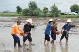 หอการค้าจังหวัดฉะเชิงเทรา ร่วมพิธีเปิดโครงการ เกษตรอินทรีย์วิถีพอเพียง ทำดีตามรอยพ่อ สานต่อศาสตร์พระราชา