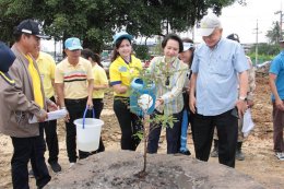 โครงการปรับปรุงภูมิทัศน์รอบวัดโสธรวรารามวรวิหาร